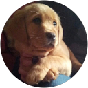 Rachel R. profile picture
